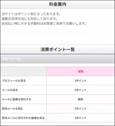 カタテマワークの消費ポイント一覧と料金案内の画面